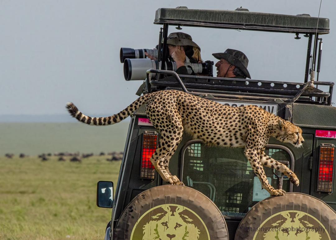 Photo Safaris